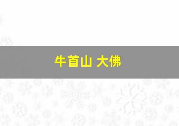 牛首山 大佛